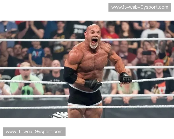 战神降临与孤胆英雄的碰撞：戈洛夫金vs布洛克，一场关于尊严与勇气的终极审判